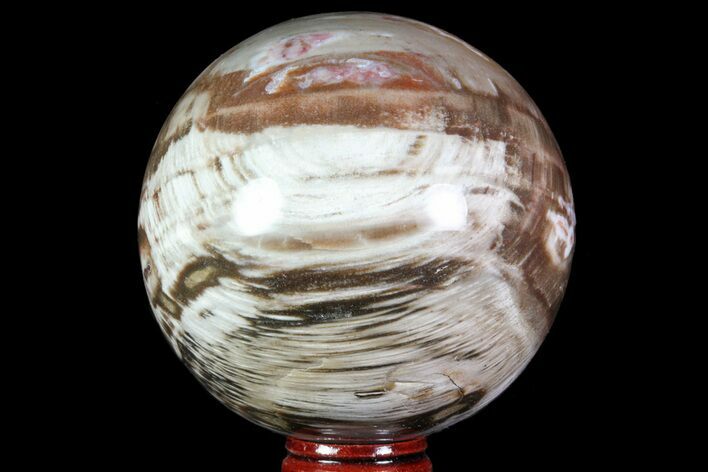 Colorful Petrified Wood Sphere - Madagascar #71408